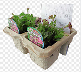 একক স্তর শুকনো লাইন 2800PCS / এইচ সহ কাগজ ছাঁচনির্মাণ পাল্প ডিম কার্টন যন্ত্রপাতি inery