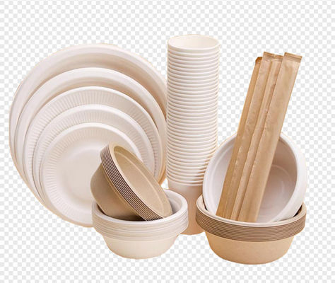 সম্পূর্ণ স্বয়ংক্রিয় পলপ প্লেট তৈরির মেশিন