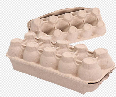 2800PCS / এইচ সহ সম্পূর্ণ অটো পেপার ছাঁচনির্মাণ ডিমের কার্টন মেশিনটিকে পুনরুক্তি করা হচ্ছে