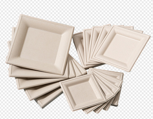 Pulp Food Container making machine/ Pulp tableware products making machine