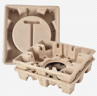 সম্পূর্ণ স্বয়ংক্রিয় পাল্প-ঢালাই মেশিন অভ্যন্তরীণ শিল্প ইলেকট্রনিক্স প্যাকেজ/ পাল্প শিল্প প্যাকেজ তৈরির মেশিন এর জন্য