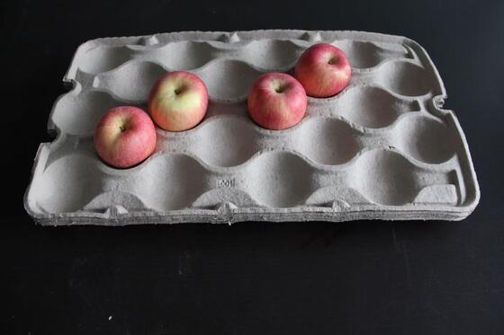 ড্রায়ার সহ মিডিয়াম ক্যাপাসিটি রিসাইকেল পেপার ডিম ট্র মেকিং মেশিন