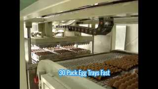 ডিমের ট্রের জন্য ছোট স্বয়ংক্রিয় পাল্প মোল্ডিং মেশিন/ ছোট ডিমের ট্রে মেশিন/ 30 প্যাকড ডিমের ট্রে মেশিন