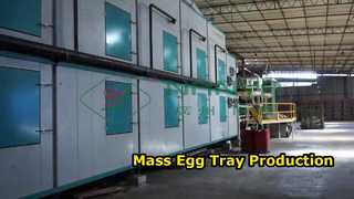 সম্পূর্ণ স্বয়ংক্রিয় ডিমের ট্রে তৈরির মেশিন/বড় উৎপাদন ডিমের ট্রে/কার্টন তৈরির অ্যামচাইন